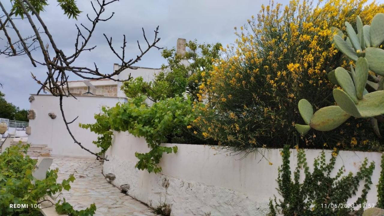 Apartament Le Terrazze Della Crianza Ostuni Zewnętrze zdjęcie