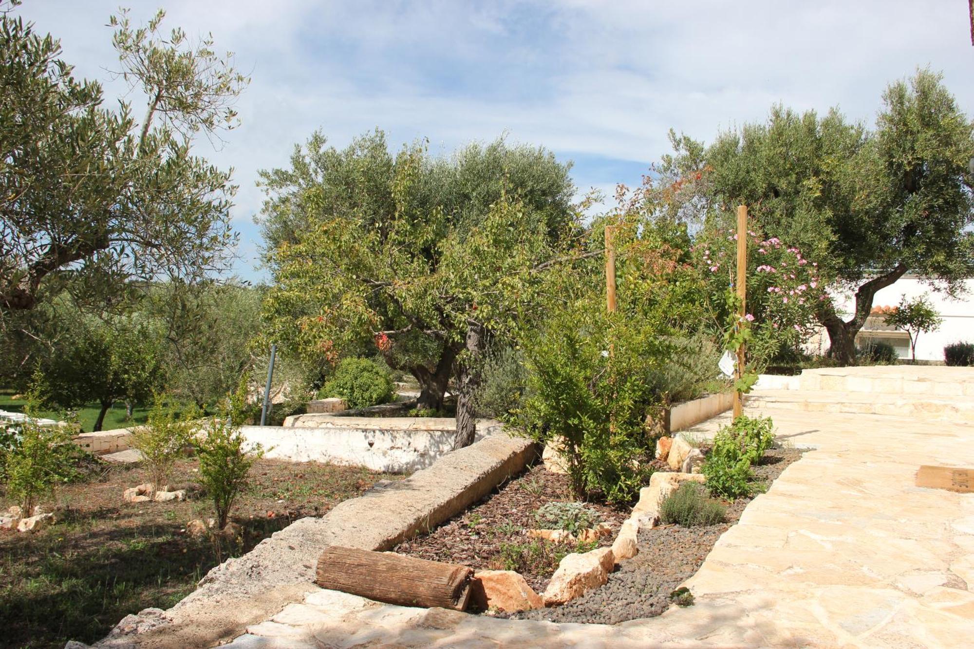 Apartament Le Terrazze Della Crianza Ostuni Zewnętrze zdjęcie